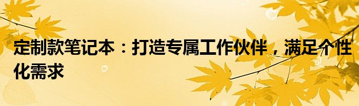 定制款笔记本：打造专属工作伙伴，满足个性化需求