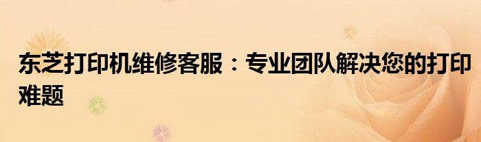 东芝打印机维修客服：专业团队解决您的打印难题