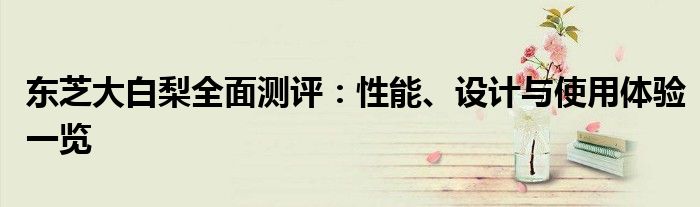 东芝大白梨全面测评：性能、设计与使用体验一览