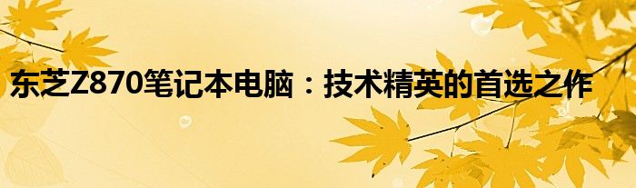 东芝Z870笔记本电脑：技术精英的首选之作