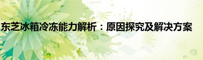 东芝冰箱冷冻能力解析：原因探究及解决方案