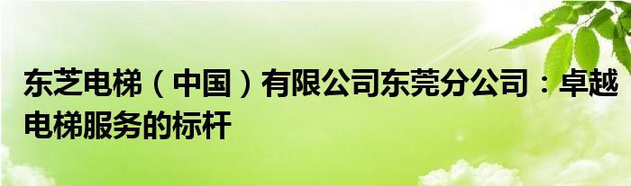 东芝电梯（中国）有限公司东莞分公司：卓越电梯服务的标杆