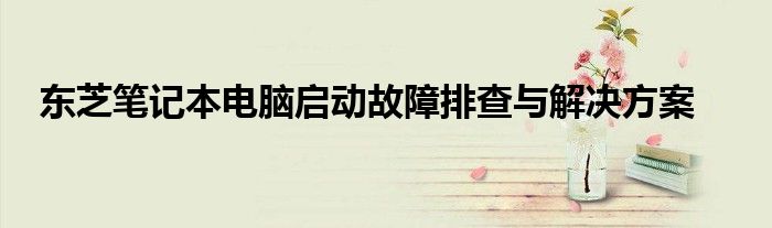东芝笔记本电脑启动故障排查与解决方案