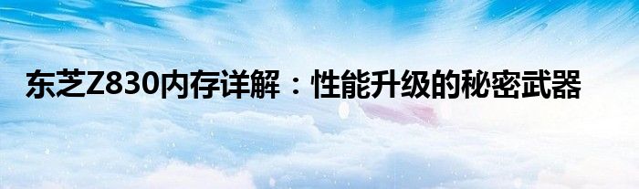东芝Z830内存详解：性能升级的秘密武器