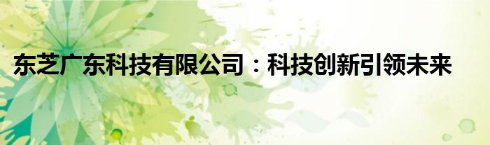 东芝广东科技有限公司：科技创新引领未来