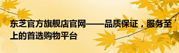 东芝官方旗舰店官网——品质保证，服务至上的首选购物平台