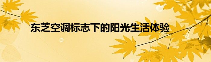 东芝空调标志下的阳光生活体验