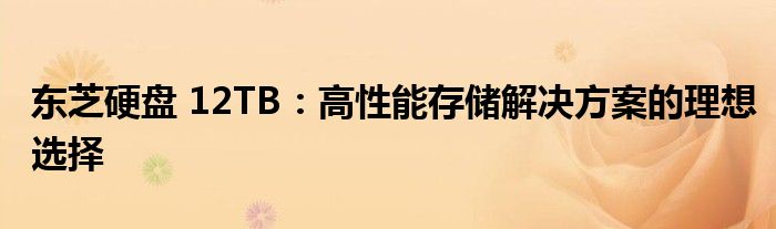 东芝硬盘 12TB：高性能存储解决方案的理想选择