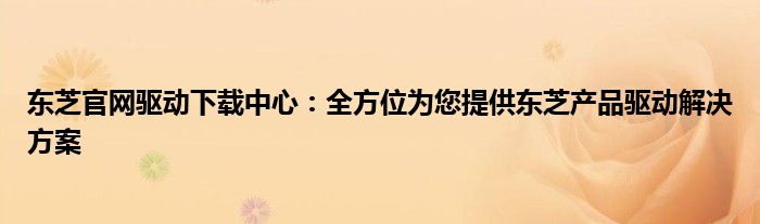 东芝官网驱动下载中心：全方位为您提供东芝产品驱动解决方案