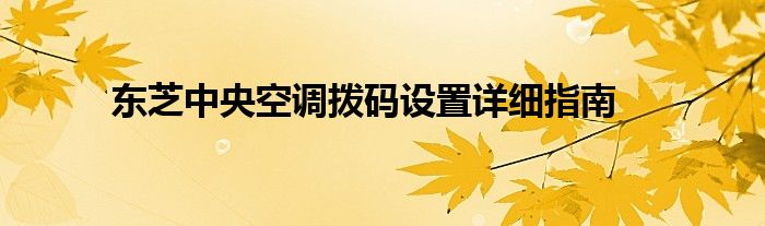 东芝中央空调拨码设置详细指南