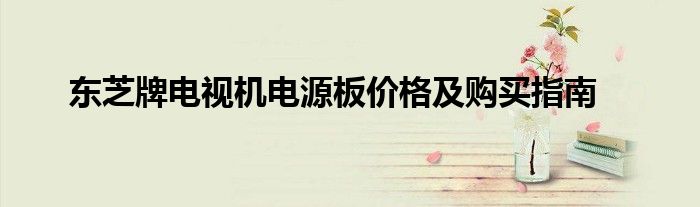 东芝牌电视机电源板价格及购买指南
