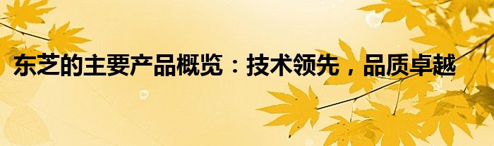 东芝的主要产品概览：技术领先，品质卓越