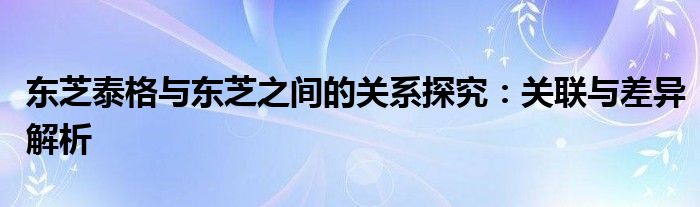 东芝泰格与东芝之间的关系探究：关联与差异解析