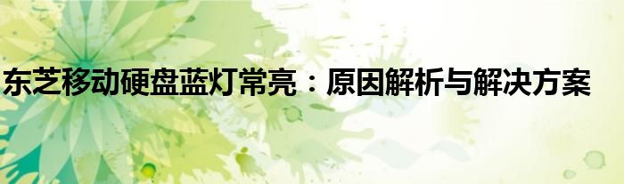 东芝移动硬盘蓝灯常亮：原因解析与解决方案