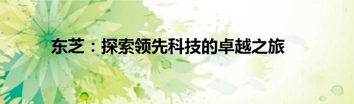 东芝：探索领先科技的卓越之旅