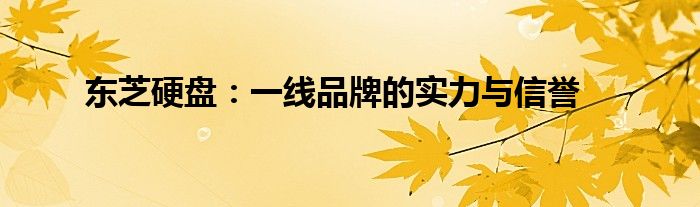 东芝硬盘：一线品牌的实力与信誉