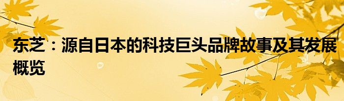 东芝：源自日本的科技巨头品牌故事及其发展概览