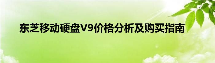 东芝移动硬盘V9价格分析及购买指南