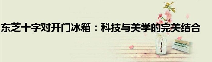 东芝十字对开门冰箱：科技与美学的完美结合