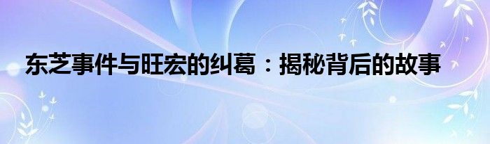 东芝事件与旺宏的纠葛：揭秘背后的故事
