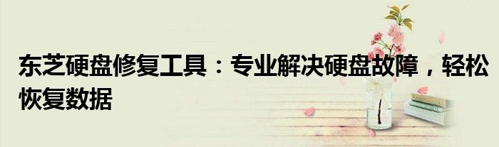 东芝硬盘修复工具：专业解决硬盘故障，轻松恢复数据