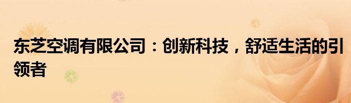 东芝空调有限公司：创新科技，舒适生活的引领者
