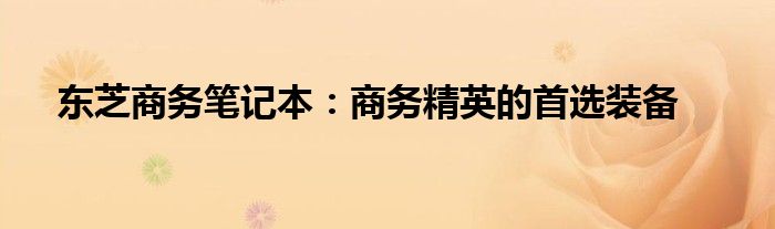 东芝商务笔记本：商务精英的首选装备