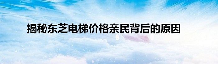 揭秘东芝电梯价格亲民背后的原因