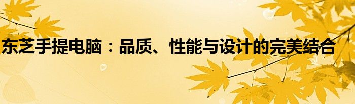 东芝手提电脑：品质、性能与设计的完美结合
