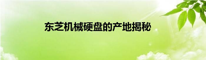 东芝机械硬盘的产地揭秘