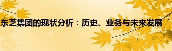 东芝集团的现状分析：历史、业务与未来发展