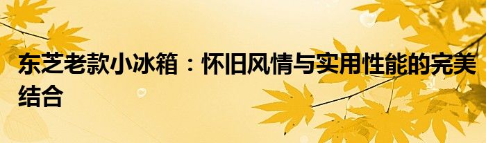 东芝老款小冰箱：怀旧风情与实用性能的完美结合
