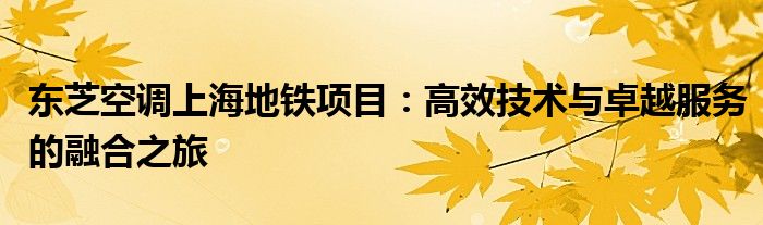 东芝空调上海地铁项目：高效技术与卓越服务的融合之旅