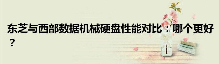 东芝与西部数据机械硬盘性能对比：哪个更好？