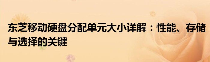 东芝移动硬盘分配单元大小详解：性能、存储与选择的关键