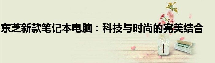 东芝新款笔记本电脑：科技与时尚的完美结合
