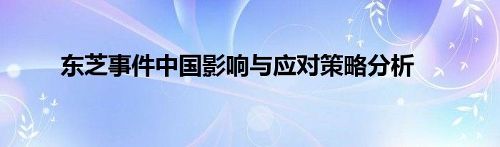东芝事件中国影响与应对策略分析
