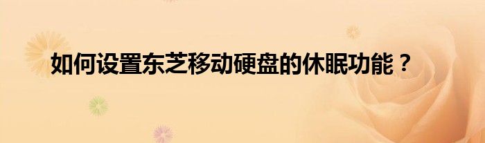 如何设置东芝移动硬盘的休眠功能？