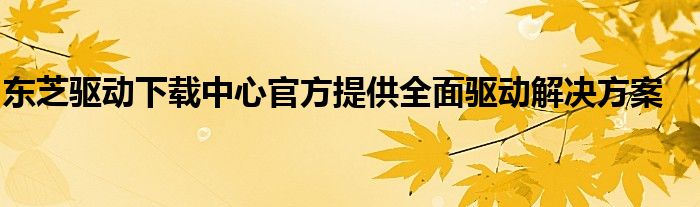 东芝驱动下载中心官方提供全面驱动解决方案