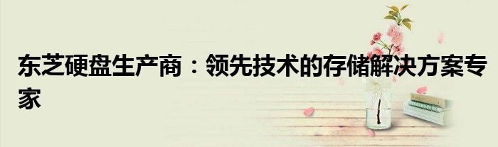 东芝硬盘生产商：领先技术的存储解决方案专家