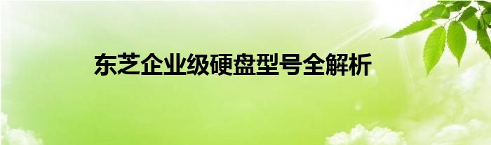 东芝企业级硬盘型号全解析