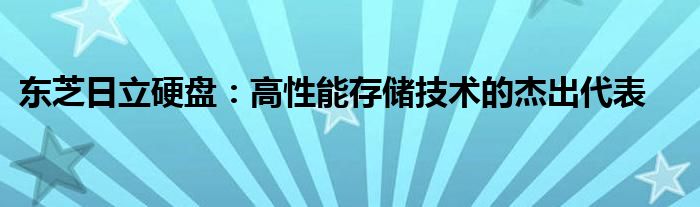 东芝日立硬盘：高性能存储技术的杰出代表