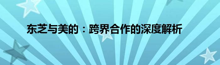 东芝与美的：跨界合作的深度解析