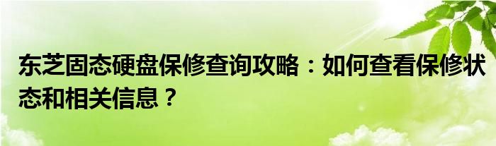 东芝固态硬盘保修查询攻略：如何查看保修状态和相关信息？