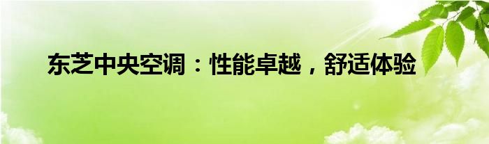 东芝中央空调：性能卓越，舒适体验
