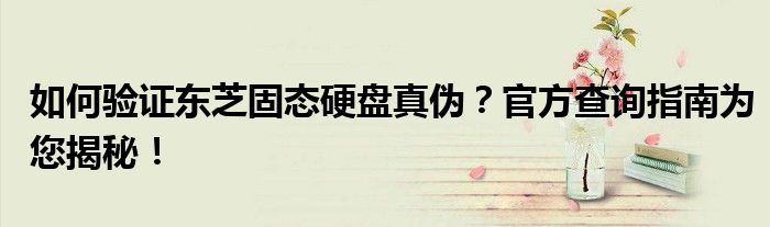 如何验证东芝固态硬盘真伪？官方查询指南为您揭秘！