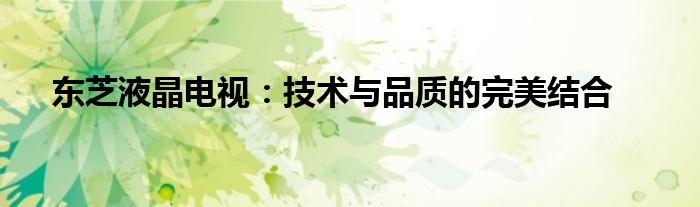 东芝液晶电视：技术与品质的完美结合