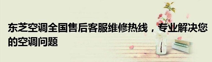 东芝空调全国售后客服维修热线，专业解决您的空调问题