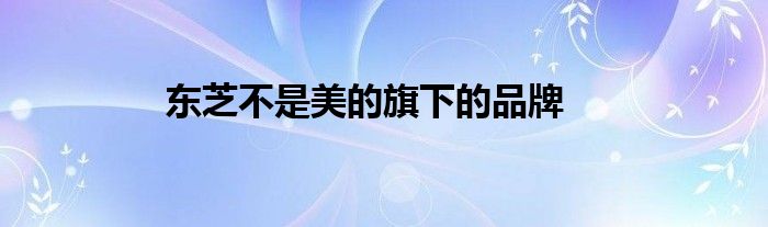 东芝不是美的旗下的品牌