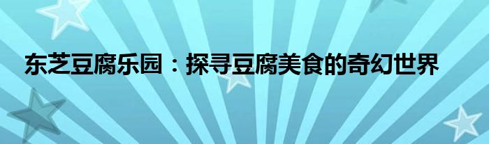 东芝豆腐乐园：探寻豆腐美食的奇幻世界